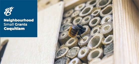 A bee working on a bee house. 