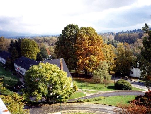 Arboretum at Riverview Lands