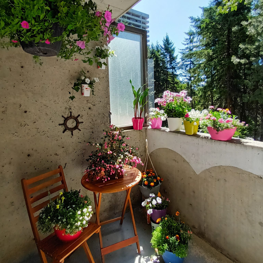 Balcony blooms