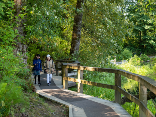 Blue Mountain Park Master Plan