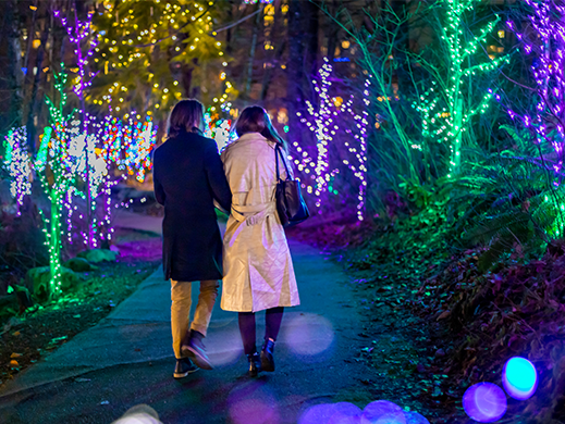 Two people walking through Lights at Lafarge at night