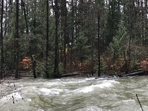 High-flowing river