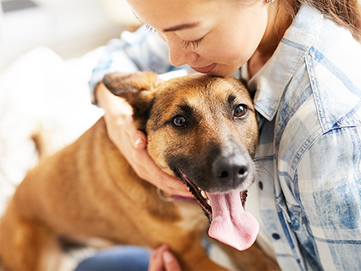 A woman hugging and brown dog