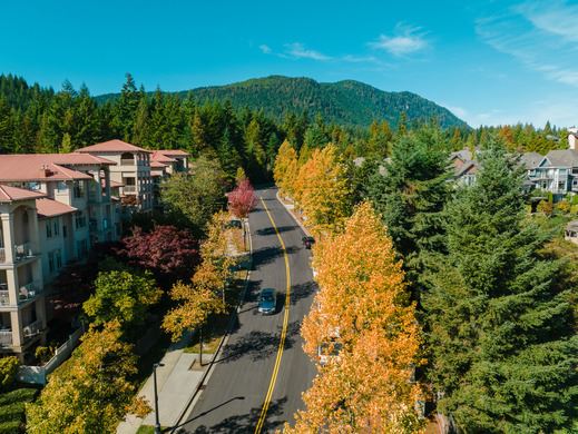 Road in Coquitlam through wooded neighbourhood.