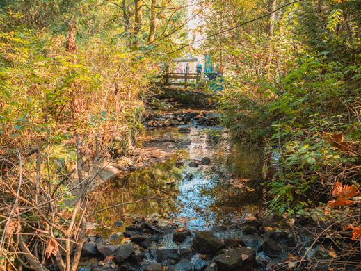 Creek running under bridge in autumn