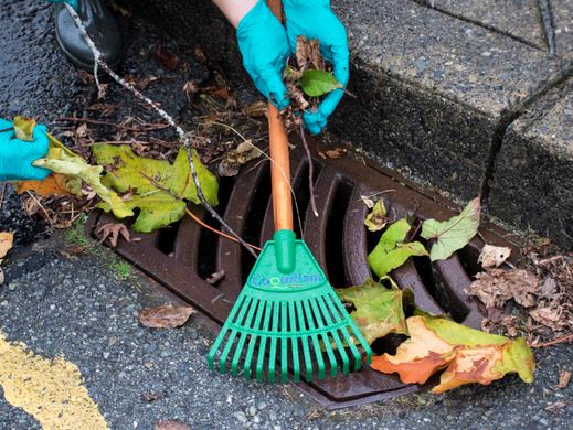 Clearing a catch basin that is covered with leaves
