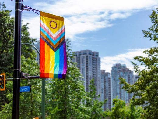 Pride flag in front of trees and buildings in Coquitlam