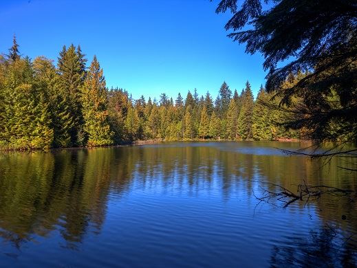 Mundy Park 