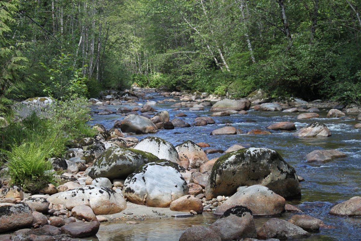 The best hikes and walks in Port Coquitlam