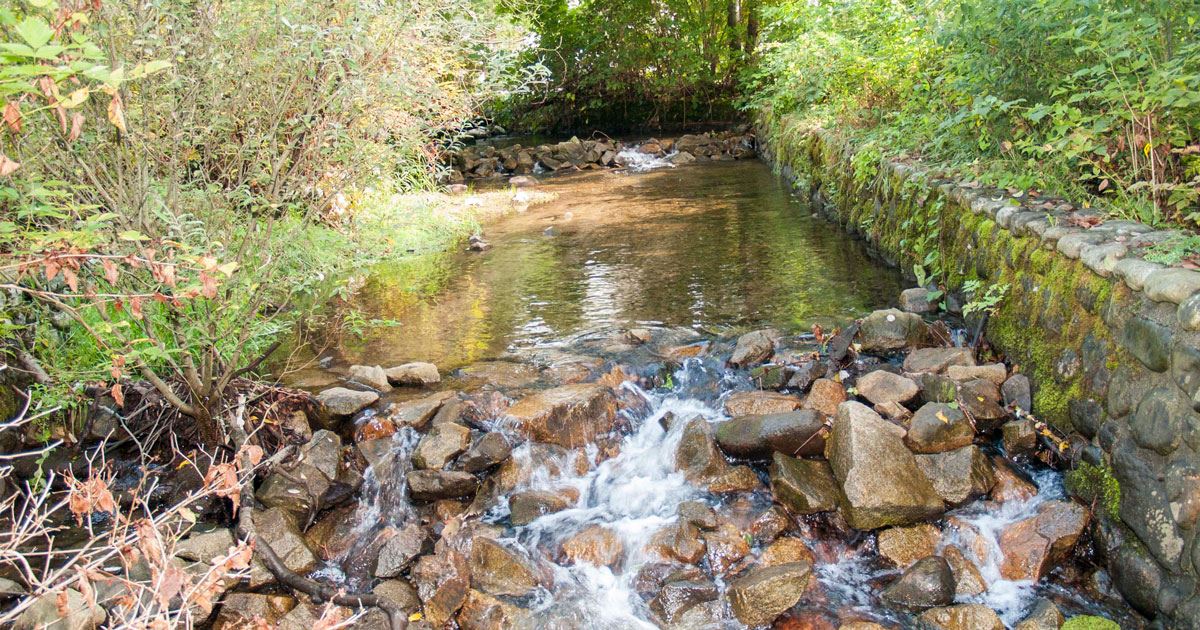 North Hoy Creek Park