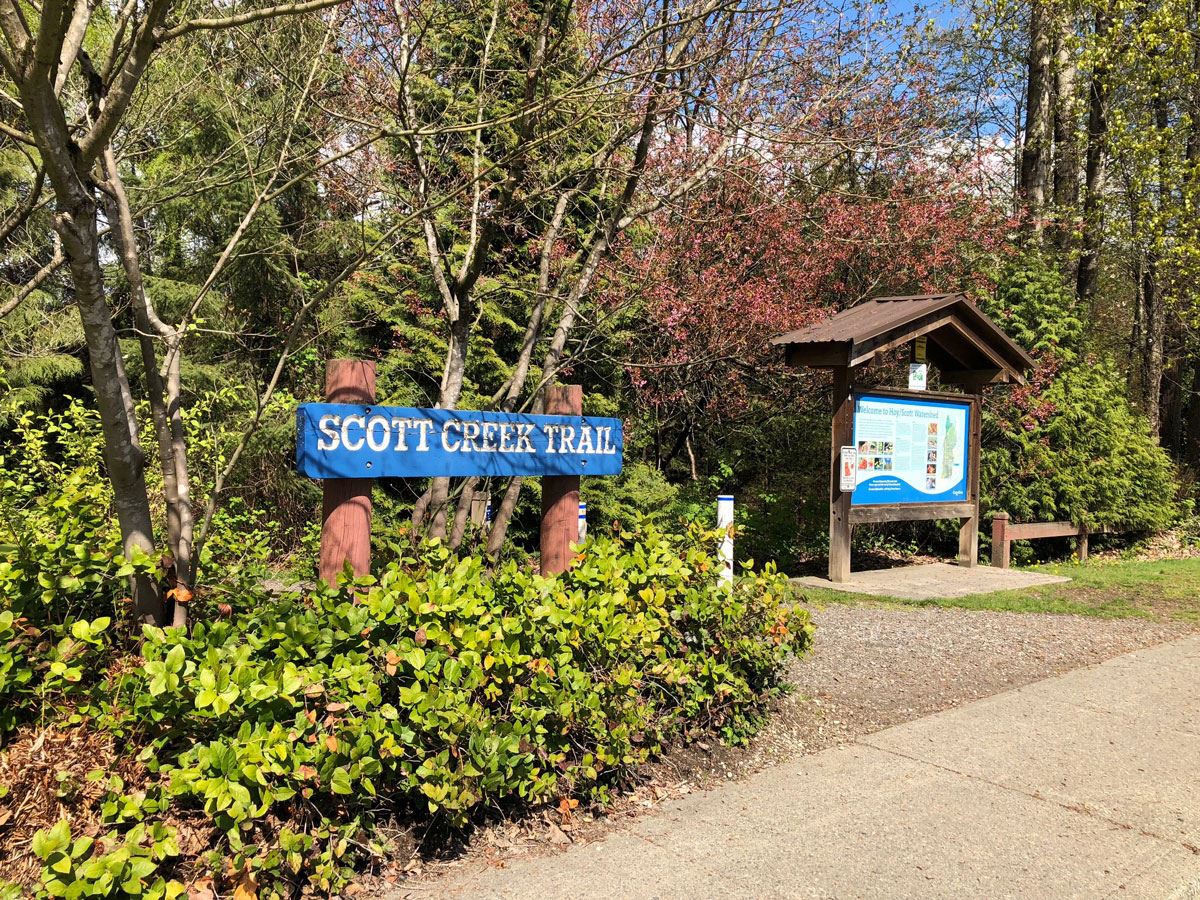 Scott Creek Linear Park