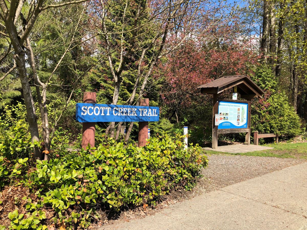 Scott Creek Linear Park