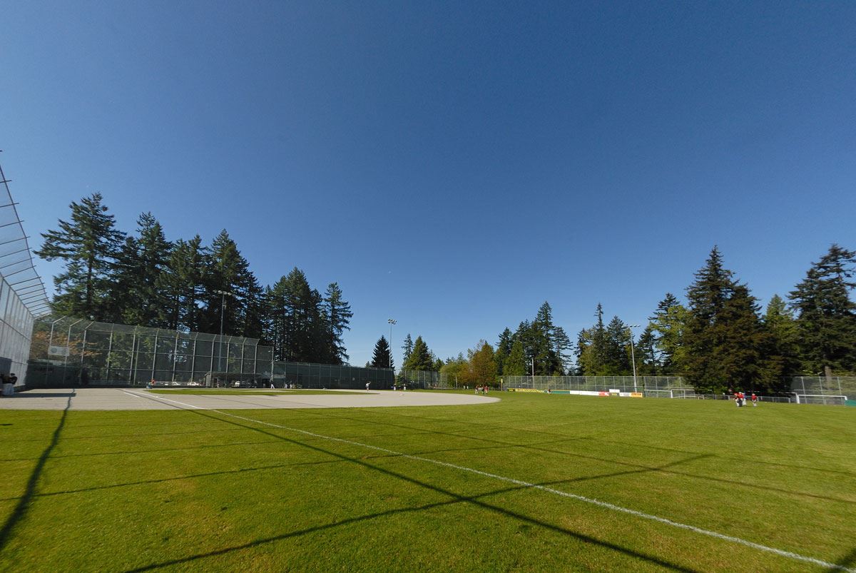 Blue Mountain Park Field