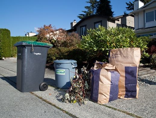 Green Cart on Curb