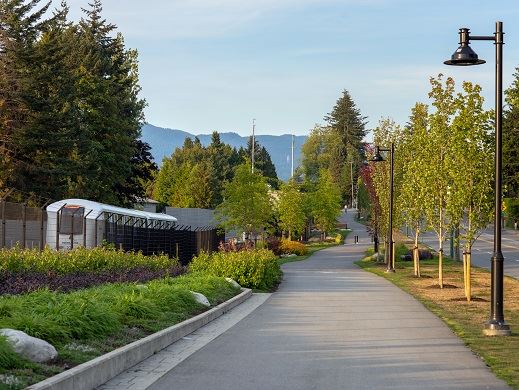 Lougheed Burquitlam Neighbourhood