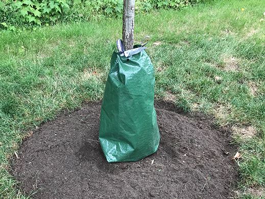 Tree bags 