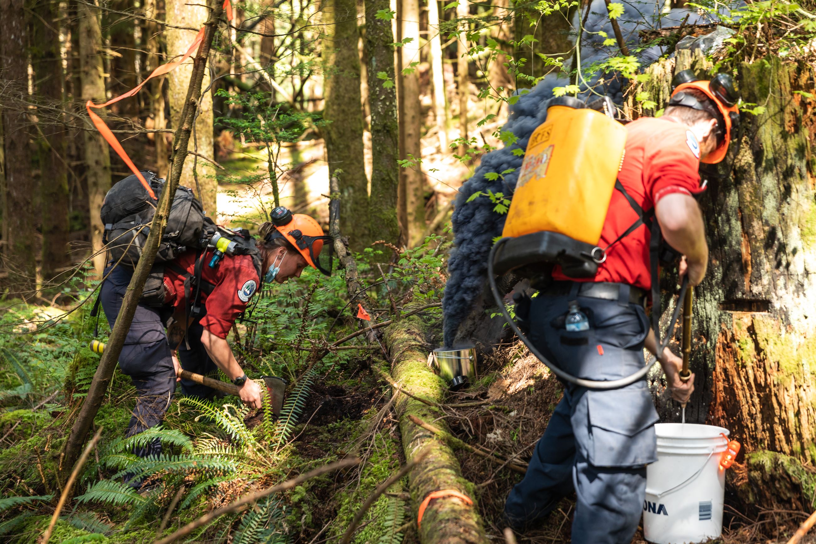 Wildland Fire Exercise