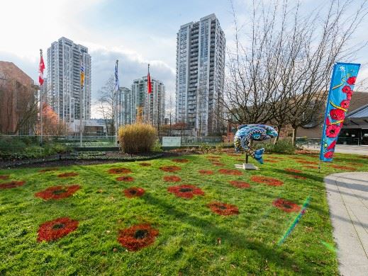 Painted poppies outside Coquitlam City Hall