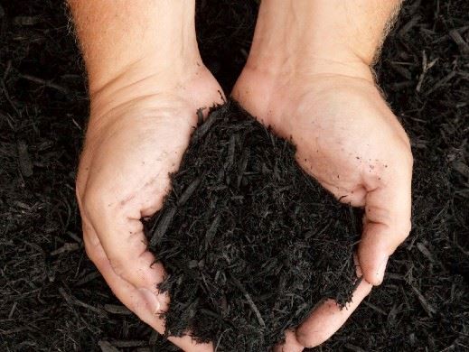 Hands holding mulch