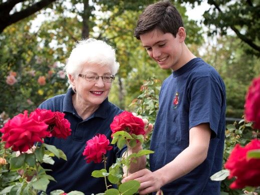 Senior and Youth Looking at Red Blooms