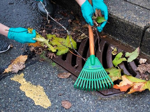 Removal of dry vegetation from structures 