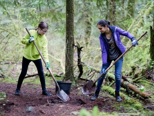 Two youth planting trees