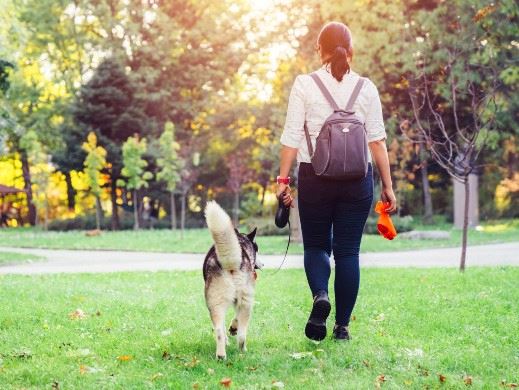 Dog walking on leash and owner holding waste bag