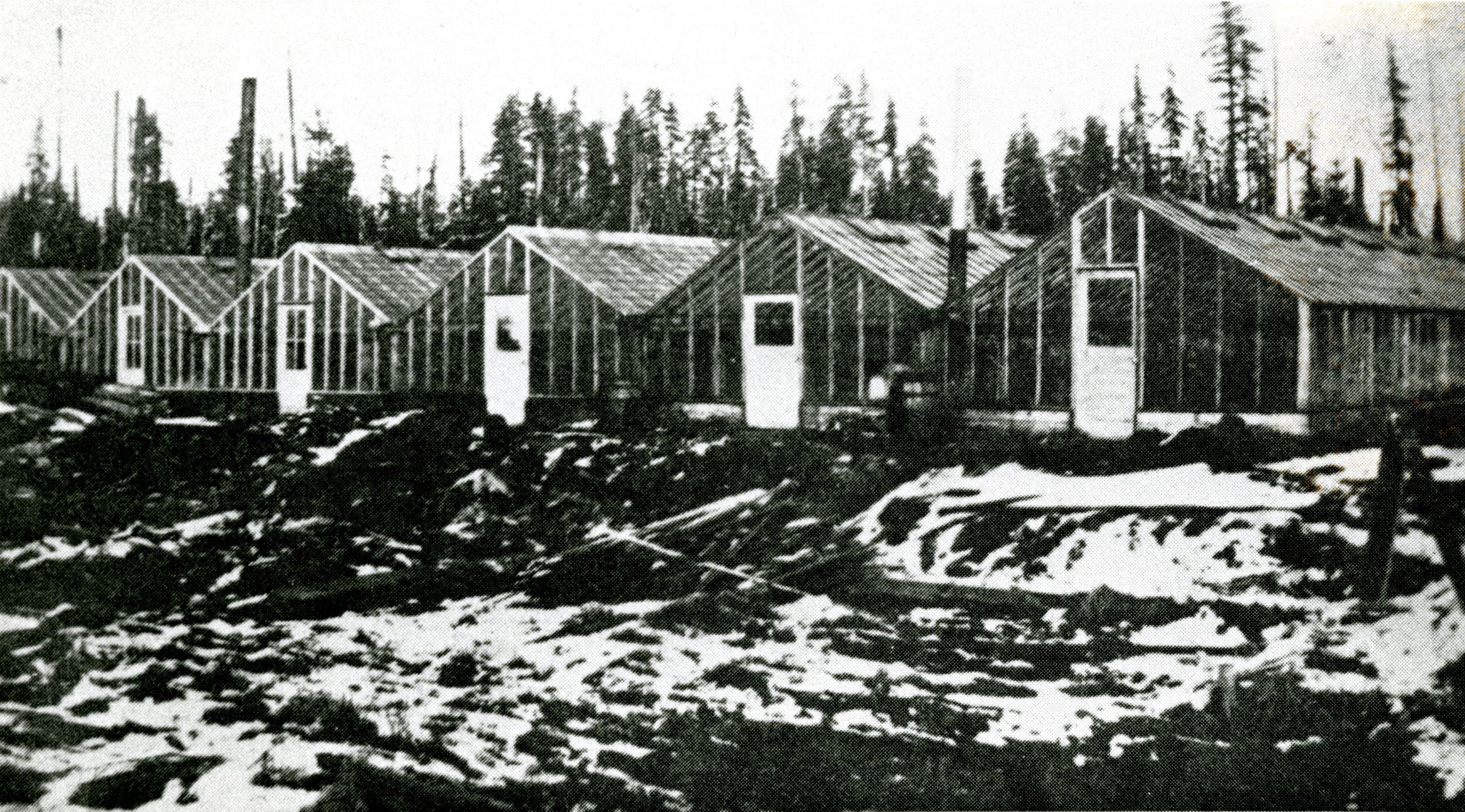 Photo of the row of Gatensbury greenhouses with snow on the ground