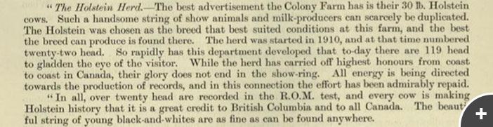 Annual Report of the Mental Hospitals of the Province of British Columbia for the Year 1913, Page 19